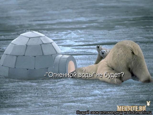 Котоматрица: -"Огненной воды"не будет?