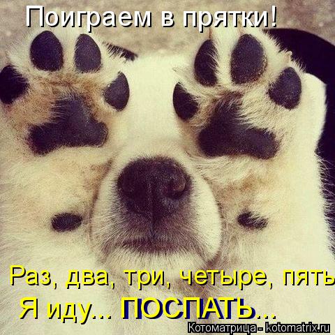 Поиграем в прятки! Раз, два, три, четыре, пять... ПОСПАТЬ Я иду... ПОСПАТЬ...... Котоматрица: Поиграем в прятки! Раз, два, три, четыре, пять... ПОСПАТЬ Я иду... ПОСПАТЬ...