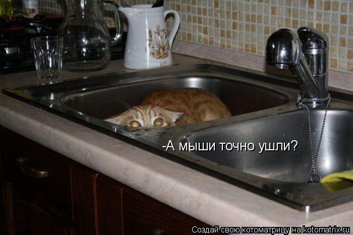 -А мыши точно ушли?... Котоматрица: -А мыши точно ушли?