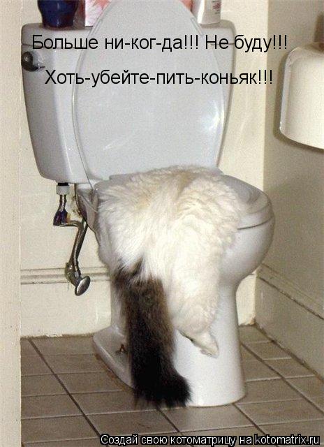 Котоматрица: Больше ни-ког-да!!! Не буду!!!  Хоть-убейте-пить-коньяк!!!