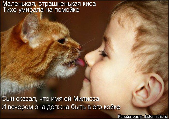 Котоматрица: Маленькая, страшненькая киса Тихо умирала на помойке Сын сказал, что имя ей Милисса И вечером она должна быть в его койке