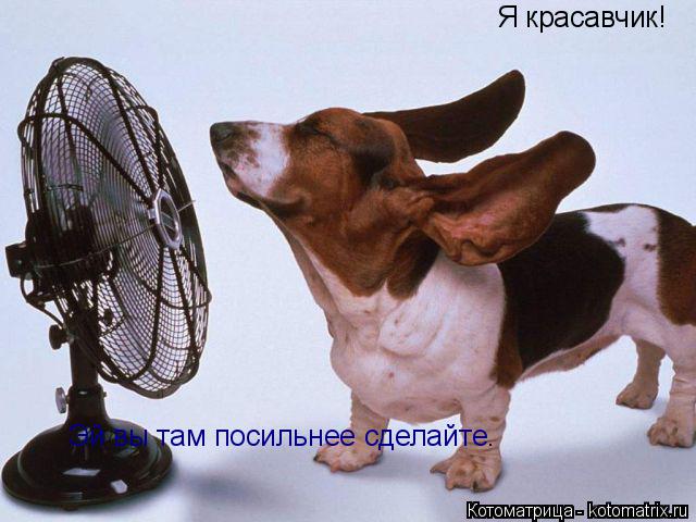 Я красавчик! Эй вы там посильнее сделайте.... Котоматрица: Я красавчик! Эй вы там посильнее сделайте.