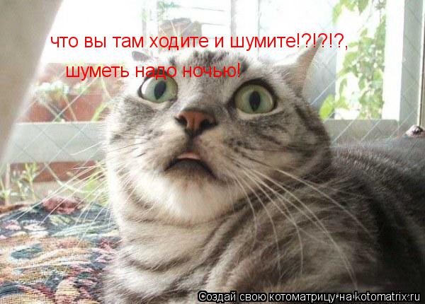 что вы там ходите и шумите!?!?!?, шуметь надо ночью!... Котоматрица: что вы там ходите и шумите!?!?!?, шуметь надо ночью!