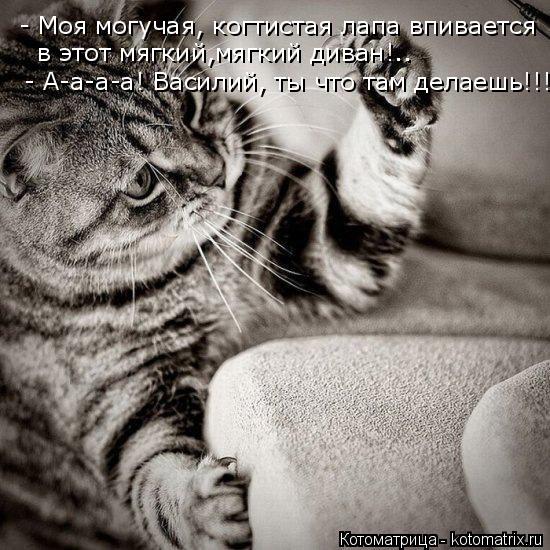Котоматрица: - Моя могучая, когтистая лапа впивается  в этот мягкий,мягкий диван!.. - А-а-а-а! Василий, ты что там делаешь!!!...