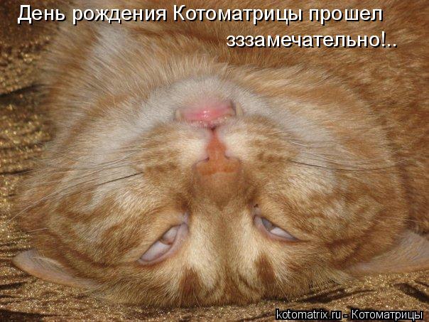 День рождения Котоматрицы прошел зззамечательно!..... Котоматрица: День рождения Котоматрицы прошел зззамечательно!..