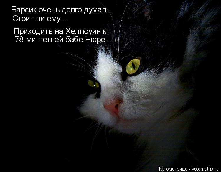 Барсик очень долго думал... Стоит ли ему ... Приходить на Хеллоуин к 78-ми летней бабе Нюре...... Котоматрица: Барсик очень долго думал... Стоит ли ему ... Приходить на Хеллоуин к 78-ми летней бабе Нюре...