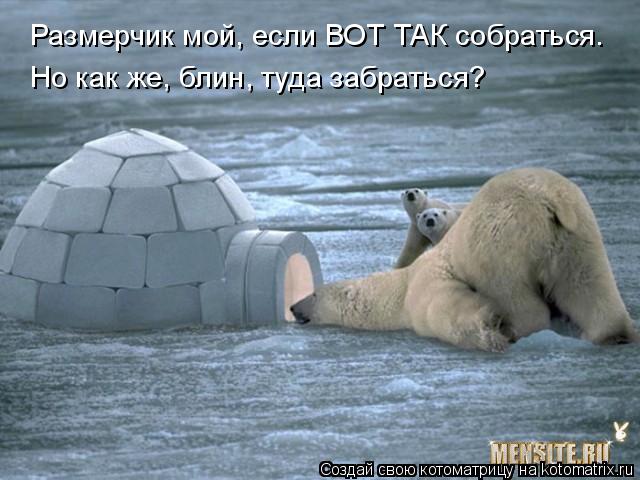 Котоматрица: Размерчик мой, если ВОТ ТАК собраться. Но как же, блин, туда забраться?