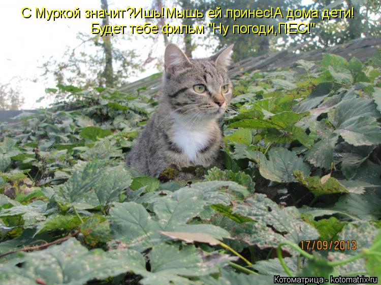 С Муркой значит?Ишь!Мышь ей принес!А дома дети! Будет тебе фильм "Ну погоди,ПЕС!"... Котоматрица: С Муркой значит?Ишь!Мышь ей принес!А дома дети! Будет тебе фильм "Ну погоди,ПЕС!"