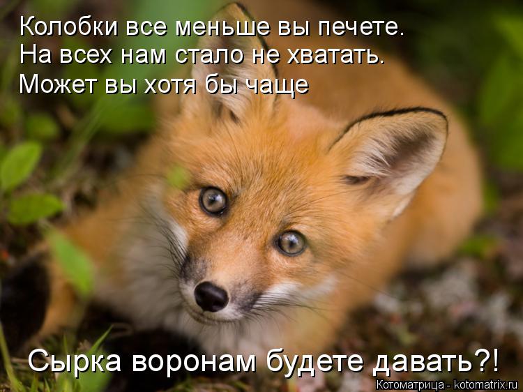 Котоматрица: Колобки все меньше вы печете. На всех нам стало не хватать. Может вы хотя бы чаще Сырка воронам будете давать?!