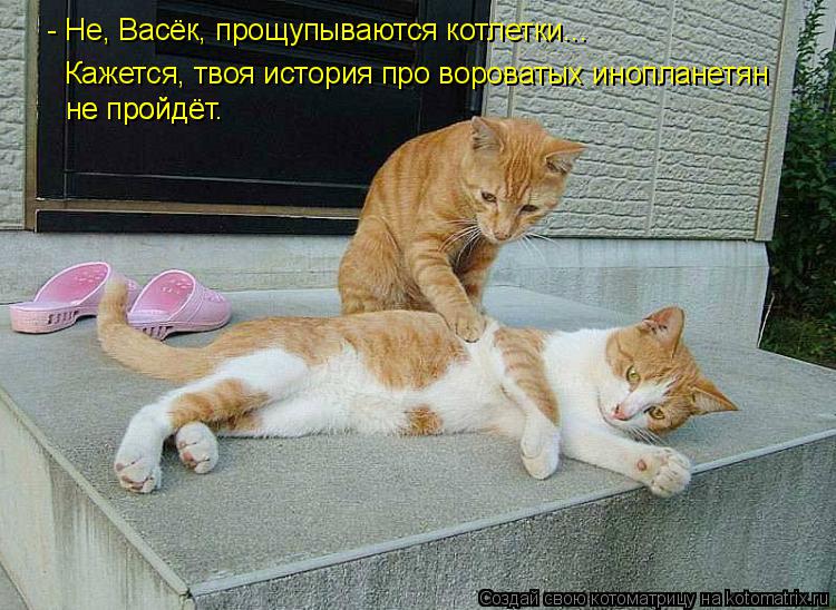 Котоматрица: - Не, Васёк, прощупываются котлетки... не пройдёт. не пройдёт. Кажется, твоя история про вороватых инопланетян