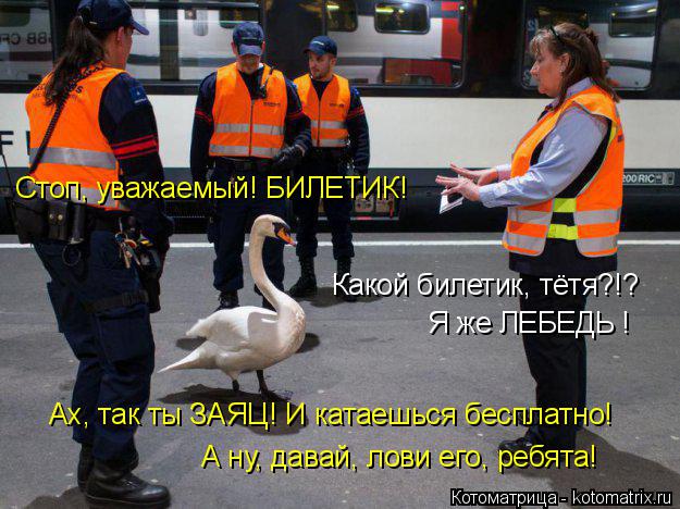 Котоматрица: Стоп, уважаемый! БИЛЕТИК! Какой билетик, тётя?!? Я же ЛЕБЕДЬ ! Ах, так ты ЗАЯЦ! И катаешься бесплатно! А ну, давай, лови его, ребята!