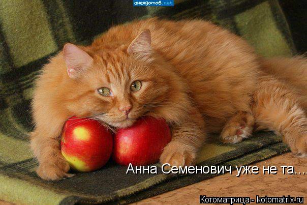 Котоматрица: Анна Семенович уже не та....