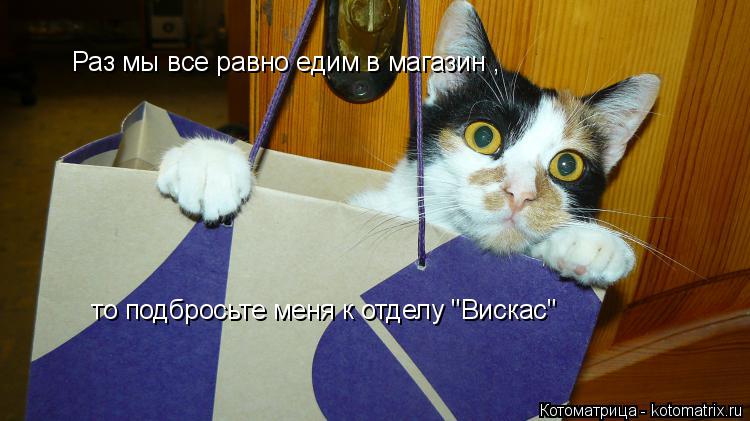 Раз мы все равно едим в магазин , то подбросьте меня к отделу ''Вискас''... Котоматрица: Раз мы все равно едим в магазин , то подбросьте меня к отделу ''Вискас''