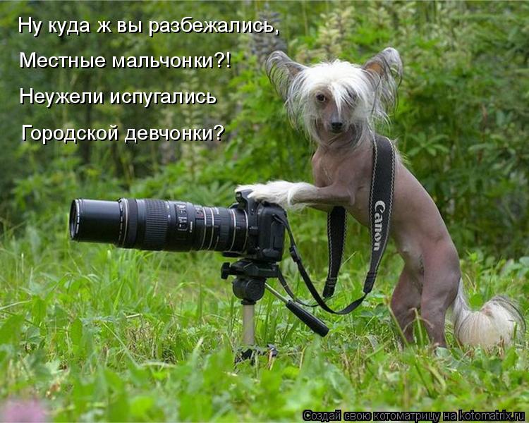 Ну куда ж вы разбежались, Местные мальчонки?! Неужели испугались Городской девчонки?... Котоматрица: Ну куда ж вы разбежались, Местные мальчонки?! Неужели испугались Городской девчонки?
