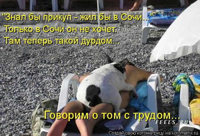 Котоматрица: "Знал бы прикуп - жил бы в Сочи..." Только в Сочи он не хочет. Там теперь такой дурдом...  Говорим о том с трудом...