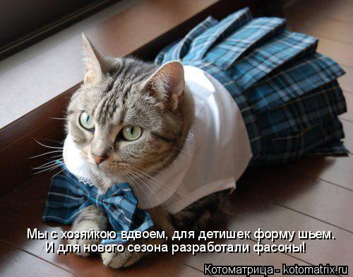 Мы с хозяйкою вдвоем, для детишек форму шьем. И для нового сезона разработали фасоны!... Котоматрица: Мы с хозяйкою вдвоем, для детишек форму шьем. И для нового сезона разработали фасоны!