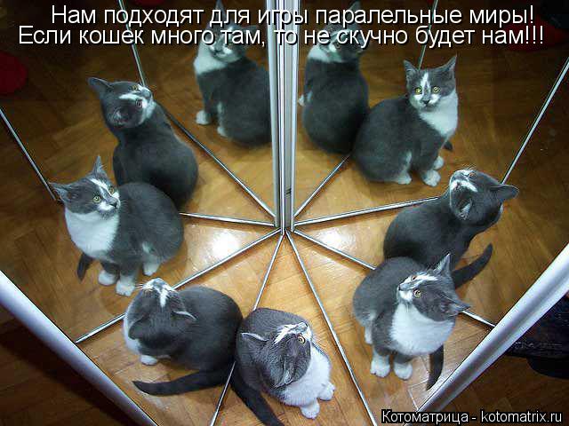 Нам подходят для игры паралельные миры! Если кошек много там, то не скучно будет нам!!!... Котоматрица: Нам подходят для игры паралельные миры! Если кошек много там, то не скучно будет нам!!!