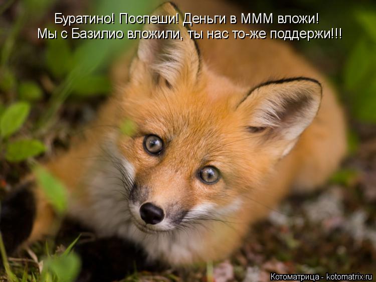 Котоматрица: Буратино! Поспеши! Деньги в МММ вложи! Мы с Базилио вложили, ты нас то-же поддержи!!!