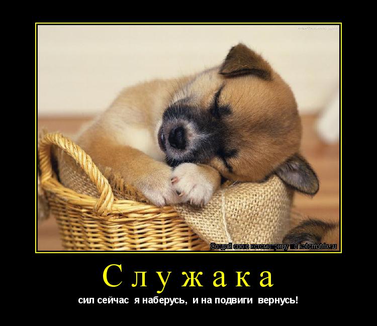 Котоматрица: Служака сил сейчас  я наберусь,  и на подвиги  вернусь!
