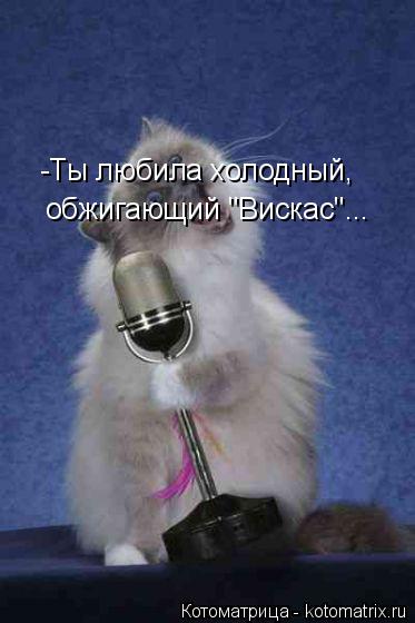 Котоматрица: -Ты любила холодный, обжигающий "Вискас"...