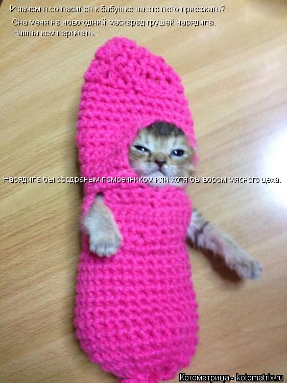 И зачем я согласился к бабушке на это лето приезжать? Она меня на новогодний маскарад грушей нарядила... Котоматрица: И зачем я согласился к бабушке на это лето приезжать? Она меня на новогодний маскарад грушей нарядила. Нашла кем наряжать. Нарядила бы ободр