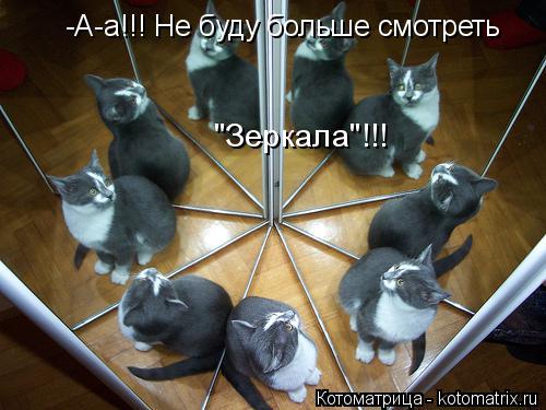 -А-а!!! Не буду больше смотреть "Зеркала"!!!... Котоматрица: -А-а!!! Не буду больше смотреть "Зеркала"!!!