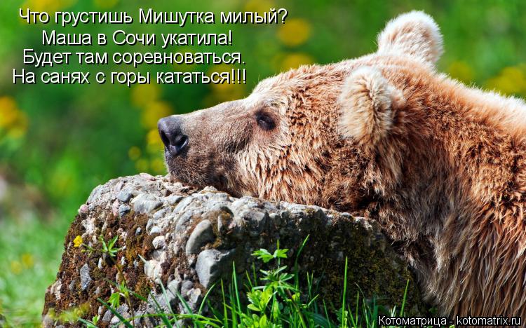 Что грустишь Мишутка милый? Маша в Сочи укатила! Будет там соревноваться. На санях с горы кататься!!!... Котоматрица: Что грустишь Мишутка милый? Маша в Сочи укатила! Будет там соревноваться. На санях с горы кататься!!!