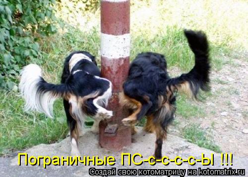 Пограничные ПС-с-с-с-с-Ы !!!... Котоматрица: Пограничные ПС-с-с-с-с-Ы !!!
