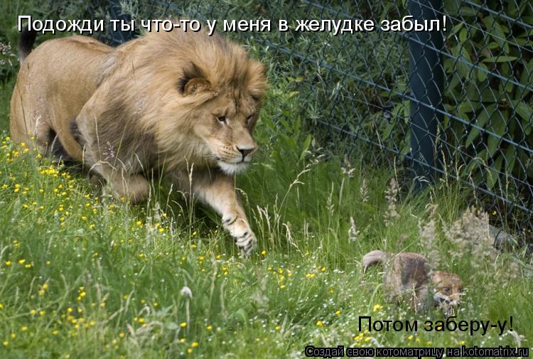 Подожди ты что-то у меня в желудке забыл! Потом заберу-у!... Котоматрица: Подожди ты что-то у меня в желудке забыл! Потом заберу-у!