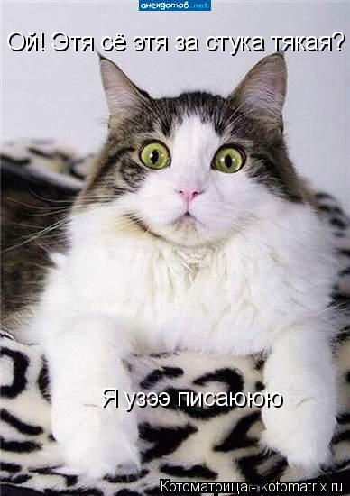 Ой! Этя сё этя за стука тякая? Я узээ писаююю Я узээ писаююю... Котоматрица: Ой! Этя сё этя за стука тякая? Я узээ писаююю Я узээ писаююю