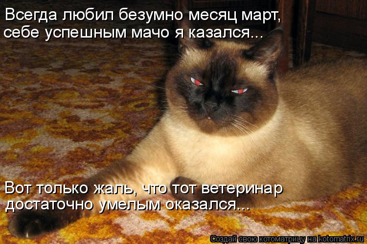 Вот только жаль, что тот ветеринар Всегда любил безумно месяц март, себе успешным мачо я казался... ... Котоматрица: Вот только жаль, что тот ветеринар Всегда любил безумно месяц март, себе успешным мачо я казался... достаточно умелым оказался...