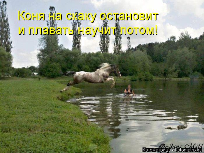 Коня на скаку остановит и плавать научит потом!... Котоматрица: Коня на скаку остановит и плавать научит потом!