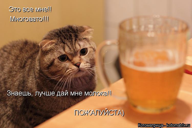 Это все мне!! Многовато!!! Знаешь, лучше дай мне молока!! ПОЖАЛУЙСТА)... Котоматрица: Это все мне!! Многовато!!! Знаешь, лучше дай мне молока!! ПОЖАЛУЙСТА)