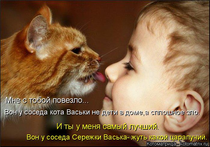 Мне с тобой повезло... Вон у соседа кота Васьки не дети в доме,а сплошное зло. И ты у меня самый лучш... Котоматрица: Мне с тобой повезло... Вон у соседа кота Васьки не дети в доме,а сплошное зло. И ты у меня самый лучший. Вон у соседа Сережки Васька- жуть какой