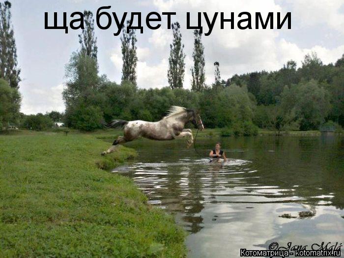 ща будет цунами... Котоматрица: ща будет цунами