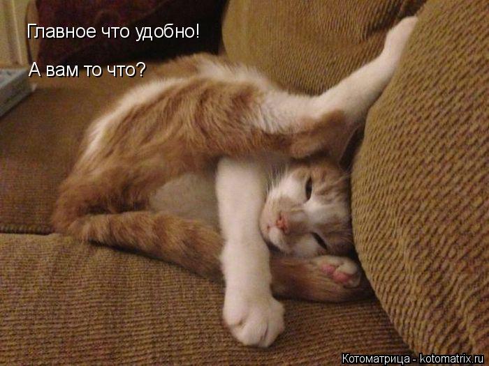 Главное что удобно! А вам то что?... Котоматрица: Главное что удобно! А вам то что?