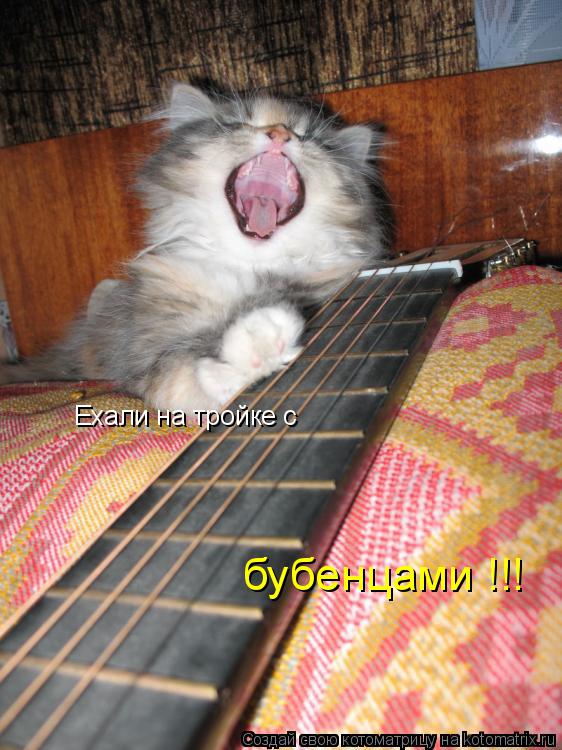 Ехали на тройке с бубенцами !!!... Котоматрица: Ехали на тройке с бубенцами !!!