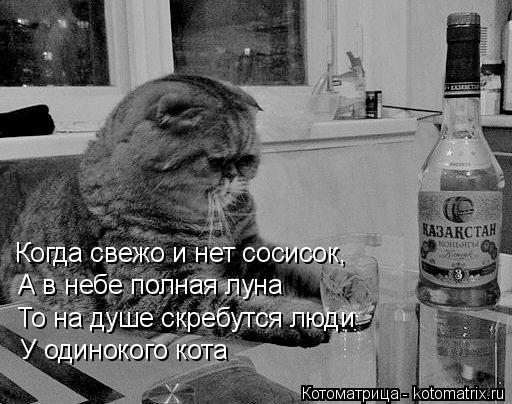 Когда свежо и нет сосисок, А в небе полная луна То на душе скребутся люди У одинокого кота... Котоматрица: Когда свежо и нет сосисок, А в небе полная луна То на душе скребутся люди У одинокого кота
