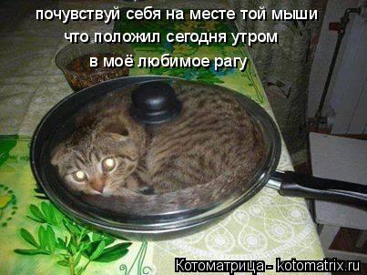 почувствуй себя на месте той мыши что положил сегодня утром в моё любимое рагу... Котоматрица: почувствуй себя на месте той мыши что положил сегодня утром в моё любимое рагу