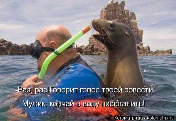 Котоматрица: -Раз, раз!Говорит голос твоей совести  Мужик, кончай в воду писюганить!.