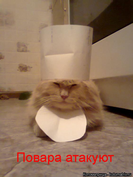 Котоматрица: Повара атакуют