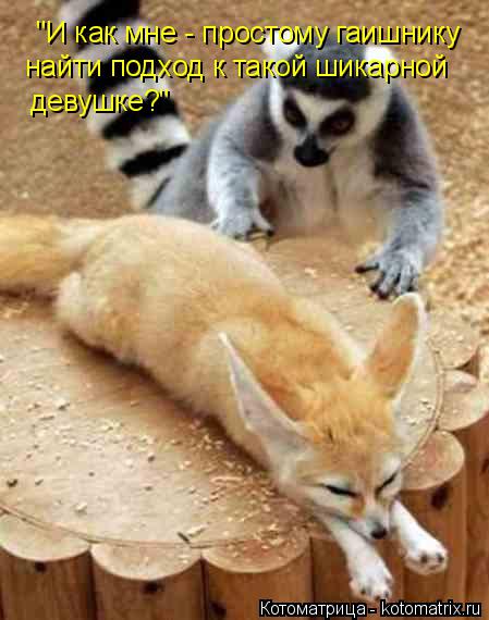 "И как мне - простому гаишнику найти подход к такой шикарной девушке?"... Котоматрица: "И как мне - простому гаишнику найти подход к такой шикарной девушке?"