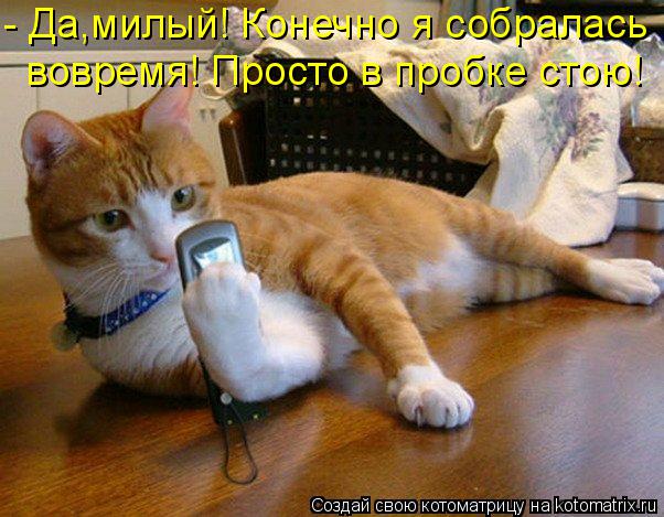 Котоматрица: - Да,милый! Конечно я собралась  вовремя! Просто в пробке стою!