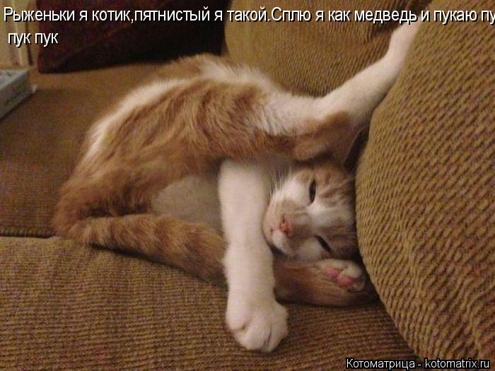 Рыженьки я котик,пятнистый я такой.Сплю я как медведь и пукаю пук пук пук пук... Котоматрица: Рыженьки я котик,пятнистый я такой.Сплю я как медведь и пукаю пук пук пук пук