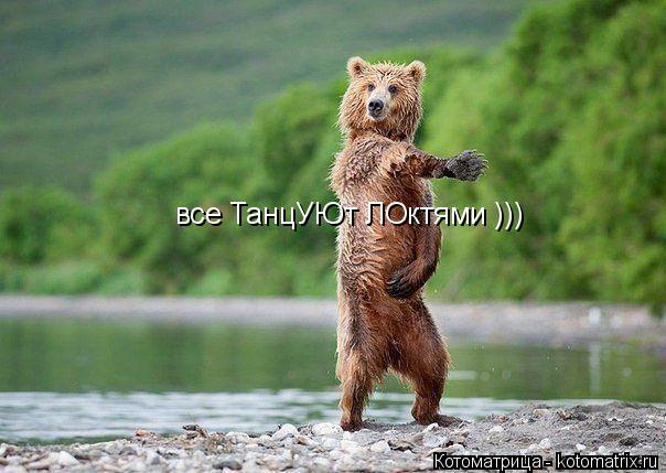 все ТанцУЮт ЛОктями )))... Котоматрица: все ТанцУЮт ЛОктями )))