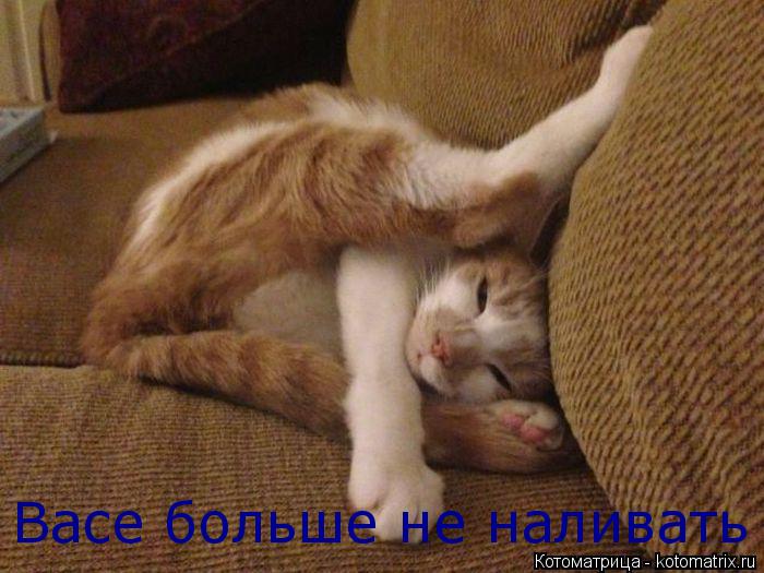 Васе больше не наливать... Котоматрица: Васе больше не наливать
