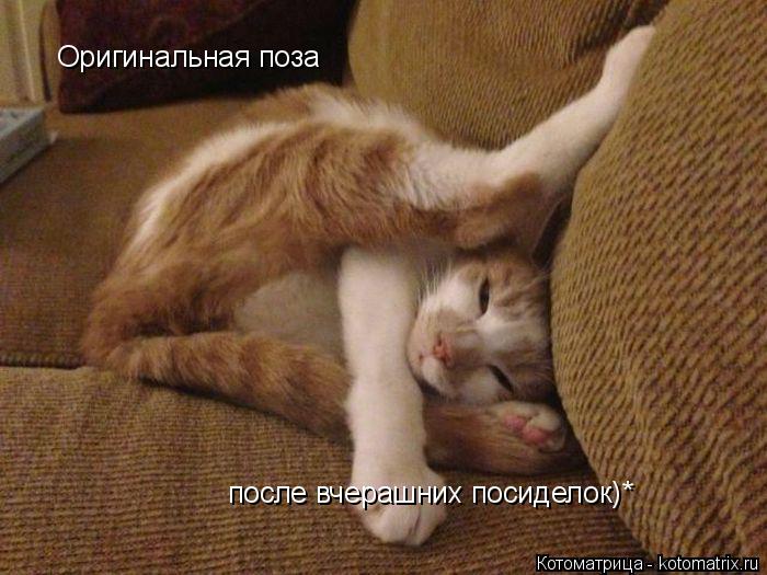 Оригинальная поза после вчерашних посиделок)*... Котоматрица: Оригинальная поза после вчерашних посиделок)*