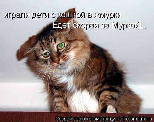 Котоматрица: играли дети с кошкой в жмурки Едет скорая за Муркой!..