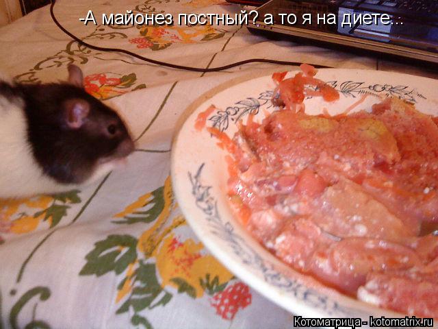 -А майонез постный? а то я на диете...... Котоматрица: -А майонез постный? а то я на диете...