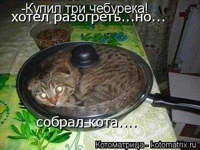 -Купил три чебурека! собрал кота.... хотел разогреть...но...... Котоматрица: -Купил три чебурека! собрал кота.... хотел разогреть...но...